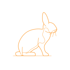 Animals Lagomorphs Mini Rex Outline Svg Vector, Free Vectors File